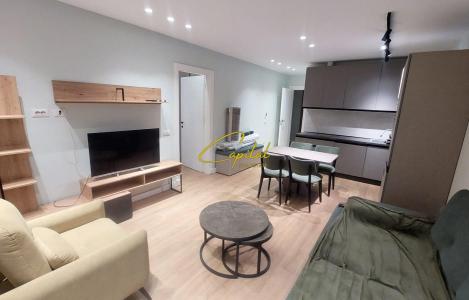 Apartament 1+1