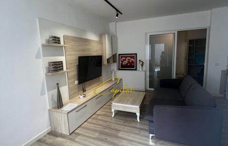 Apartament 1+1