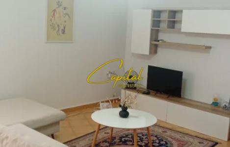 Apartament 1+1