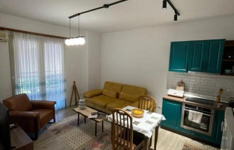 Apartment 1+1