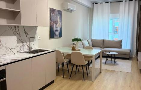 Apartment 1+1