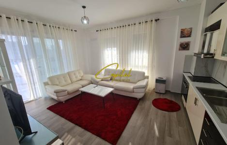 Apartament 1+1