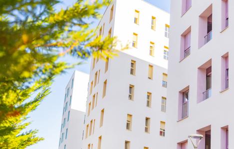 Apartment 1+1