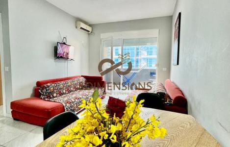 Apartament 1+1