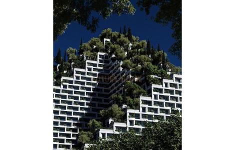 Apartament 1+1