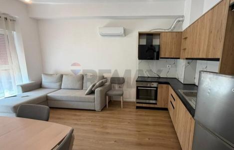 Apartament 1+1