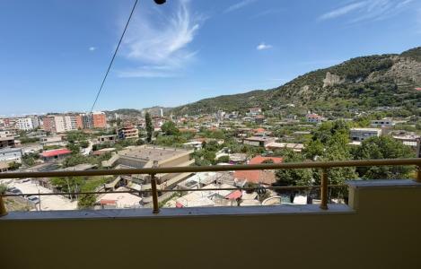 Apartament 1+1