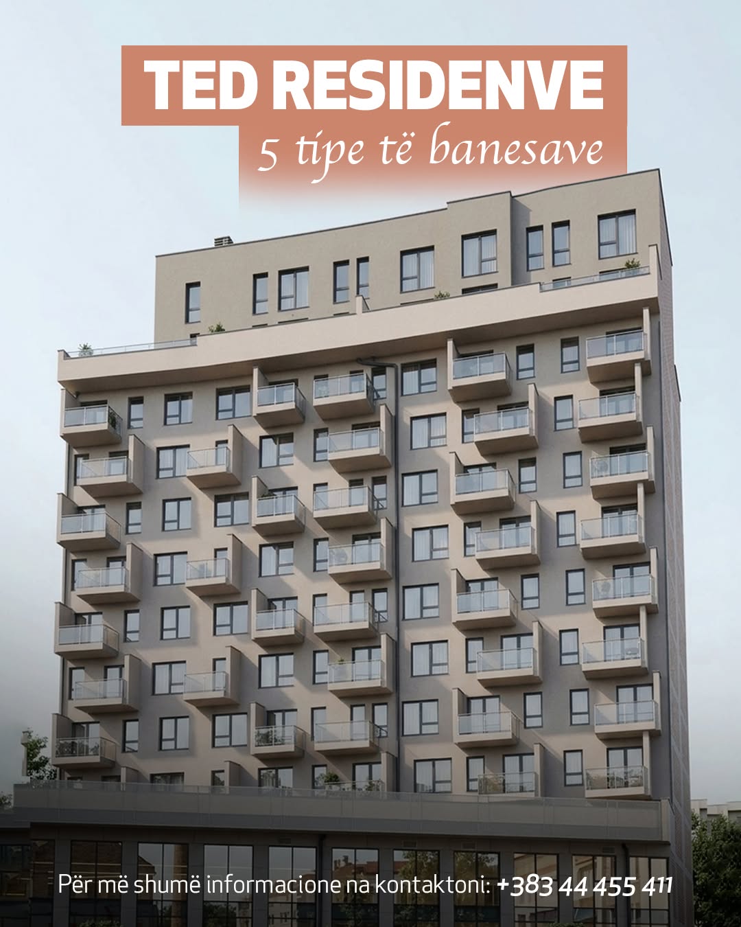 TED RESIDENCE