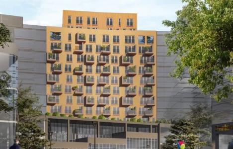 TED RESIDENCE
