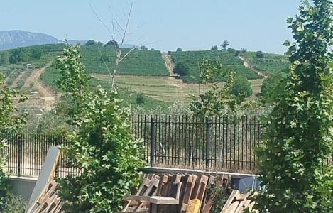 Terreno