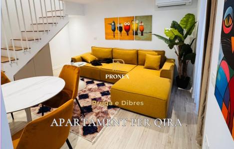 Apartament 1+1