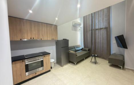 Apartment 1+1