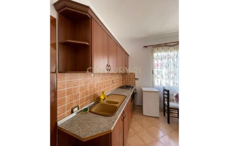 Apartament 1+1