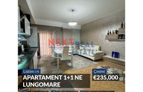 Apartament 1+1