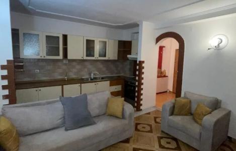 Apartament 1+1