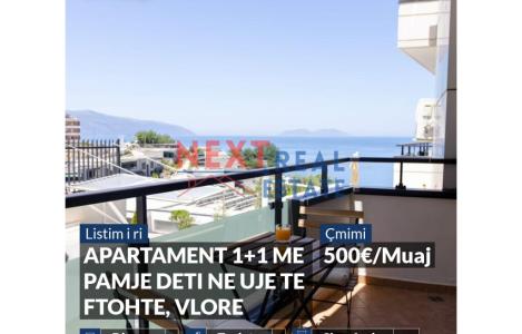 Apartament 1+1