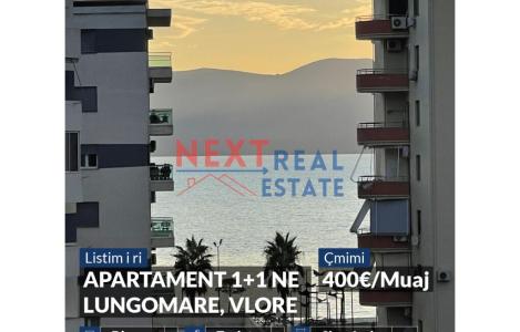 Apartament 1+1