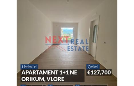 Apartament 1+1