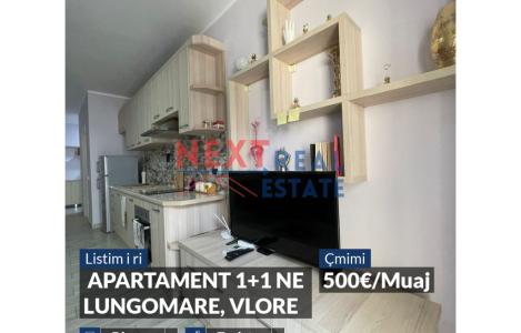 Apartment 1+1