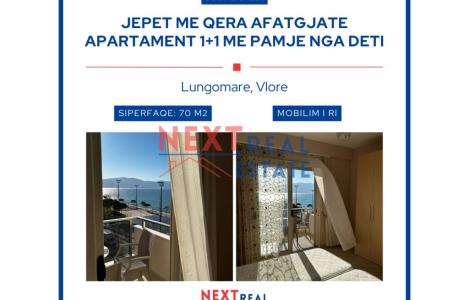 Apartament 1+1