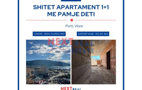 Apartment 1+1