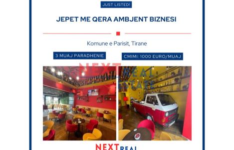 Njesi Biznesi