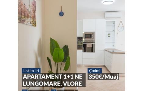 Apartament 1+1