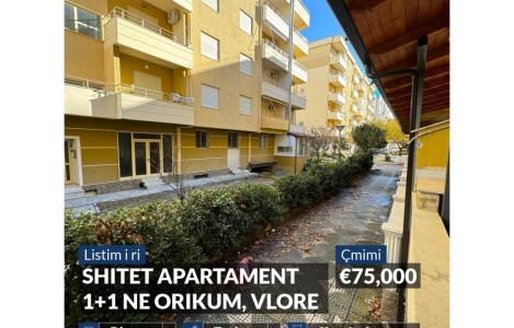 Apartament 1+1