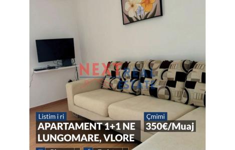 Apartament 1+1