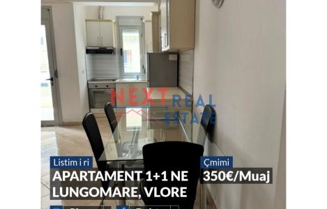 Apartament 1+1