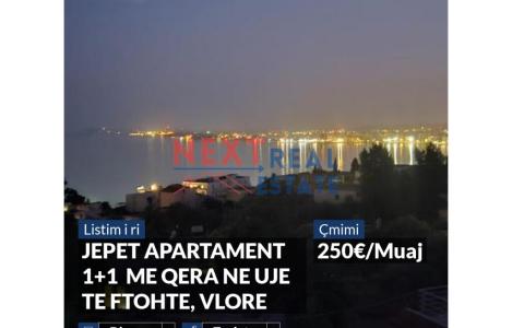 Apartament 1+1