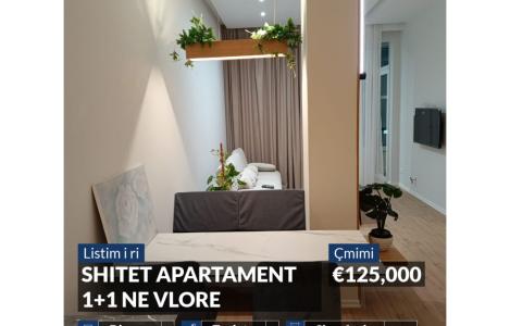 Apartament 1+1