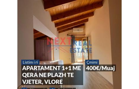 Apartament 1+1