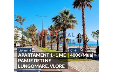 Apartament 1+1