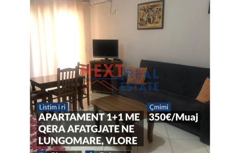 Apartament 1+1