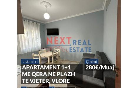 Apartament 1+1