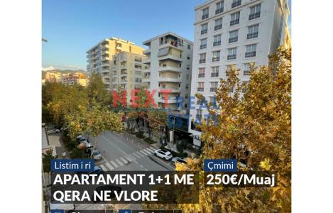 Apartament 1+1