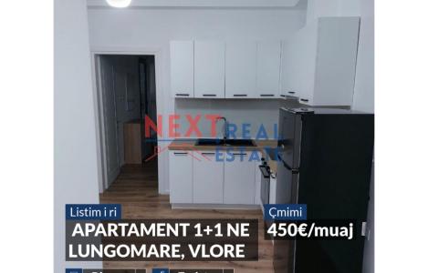 Apartment 1+1