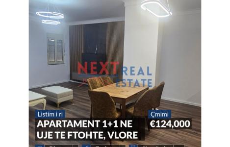 Apartament 1+1