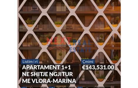 Apartament 1+1