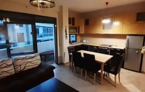 Apartament 1+1