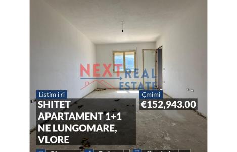 Apartament 1+1