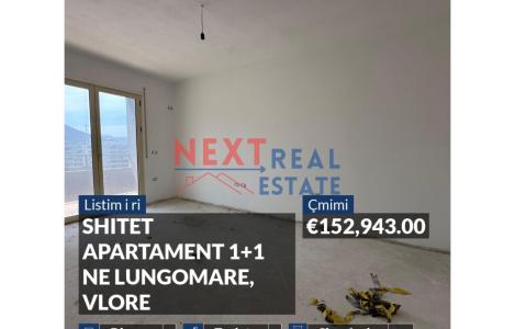 Apartament 1+1