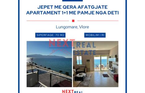 Apartament 1+1