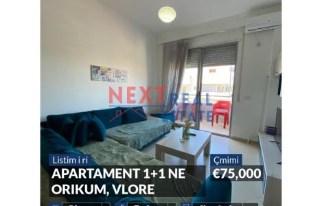 Apartament 1+1