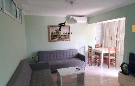 Apartament 1+1