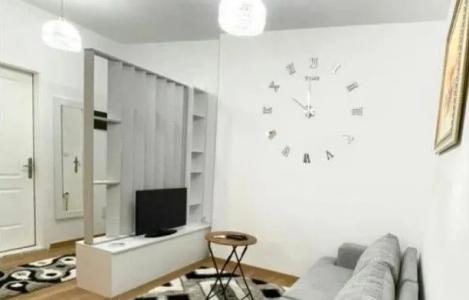 Apartament 1+1