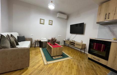 Apartament 1+1