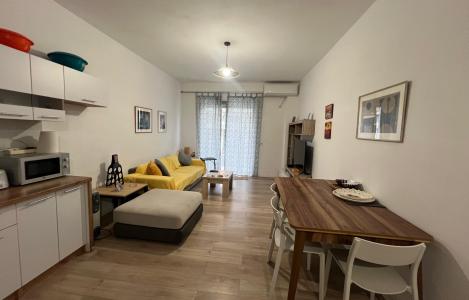 Apartament 1+1