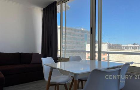 Apartament 1+1